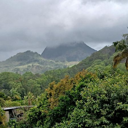 Appartement Horizon Des Pitons à Salazie Extérieur photo